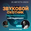封面 Звуковой Охотник - Радиошоу Выпуск #2 Звуковой Охотник - Радиошоу Выпуск #2