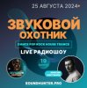 封面 Звуковой Охотник - Радиошоу Выпуск #19 Звуковой Охотник - Радиошоу Выпуск #19