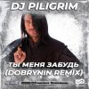 封面 Dj Piligrim - Ты меня забудь Dj Piligrim - Ты меня забудь