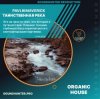 封面 PavlikMaverick - Таинственная река PavlikMaverick - Таинственная река