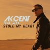 封面 Akcent feat. Reea - Stole My Heart Akcent feat. Reea - Stole My Heart