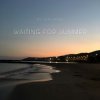 封面 DJ Calypso - Waiting for Summer 2026 DJ Calypso - Waiting for Summer 2026