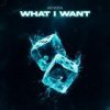 封面 Ad Voca - What I Want Ad Voca - What I Want