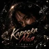 Обкладинка R3phase - Кароока Моя R3phase - Кароока Моя
