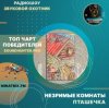 封面 Незримые Комнаты - Пташечка Незримые Комнаты - Пташечка
