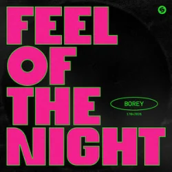 Обкладинка Borey - Feel Of The Night
