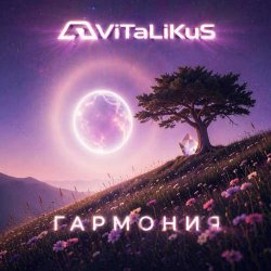 Обкладинка ViTaLiKuS - Гармония
