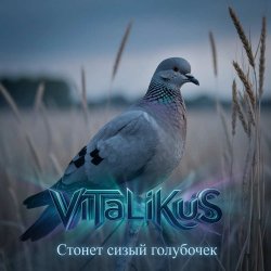 Обкладинка ViTaLiKuS - Стонет сизый голубочек