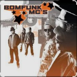 封面 Bomfunk MC's - Foxy Lady