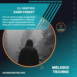 封面 DJ VANTIGO - Dark Forest