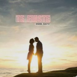 封面 DNDM & Davvi - Te Fuiste