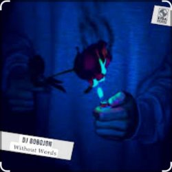 封面 Dj Bobojon - Without Words