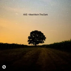 Обкладинка AVE - Meet Me In The Dark
