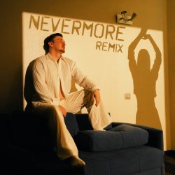 封面 der Flaum - nevermore (remix)