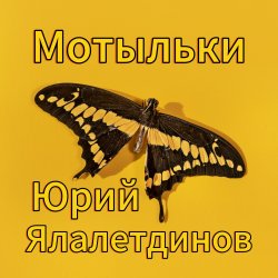 封面 Юрий Ялалетдинов - Мотыльки