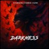Обкладинка STXRSHOV & Daria Kupr - Darkness STXRSHOV & Daria Kupr - Darkness