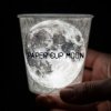 封面 der Flaum - Paper Cup Moon der Flaum - Paper Cup Moon