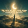 封面 ViTaLiKuS - Mirrors of the Desert Soul ViTaLiKuS - Mirrors of the Desert Soul
