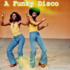 封面 zaevsergey - A Funky Disco zaevsergey - A Funky Disco