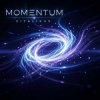 封面 ViTaLiKuS - Momentum ViTaLiKuS - Momentum