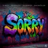 Cover DJ Wout x Jan Vervloet x Pulsedriver - I'm Sorry (Extended Mix) DJ Wout x Jan Vervloet x Pulsedriver - I'm Sorry (Extended Mix)