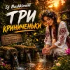 封面 Dj Bashkirofff - Три криниченьки Dj Bashkirofff - Три криниченьки