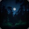封面 Dj Calma - Silent Distance (Original Mix) Dj Calma - Silent Distance (Original Mix)