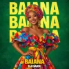 封面 Dj Dark - Baiana Dj Dark - Baiana