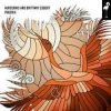 封面 Aurosonic & Brittany Egbert - Phoenix (Original Mix) Aurosonic & Brittany Egbert - Phoenix (Original Mix)