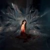 封面 Noémi Büchi - The cryptic precision Noémi Büchi - The cryptic precision
