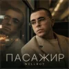 封面 Wellboy - Пасажир Wellboy - Пасажир