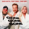 封面 David Guetta, Teddy Swims & Tones And I - Gone Gone Gone David Guetta, Teddy Swims & Tones And I - Gone Gone Gone
