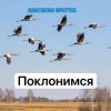 封面 Анастасия Иркутск - Поклонимся Анастасия Иркутск - Поклонимся