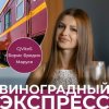 封面 CjVitoS, Борис Бредин, Маруся - Виноградный экспресс 2.0 CjVitoS, Борис Бредин, Маруся - Виноградный экспресс 2.0
