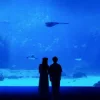 封面 Mattyeux & Princess Chelsea & Vieoclub - Sometimes Mattyeux & Princess Chelsea & Vieoclub - Sometimes