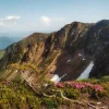 封面 Василь Білоус - Завтра Василь Білоус - Завтра