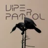 封面 Viper Patrol - What Is (Original Mix) Viper Patrol - What Is (Original Mix)