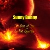 封面 Sunny Bunny - The Best of You So Fat Records! Sunny Bunny - The Best of You So Fat Records!