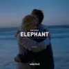 封面 Don Diablo - Elephant Don Diablo - Elephant