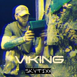 封面 Viking (Original Mix)