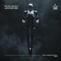 封面 Levitation