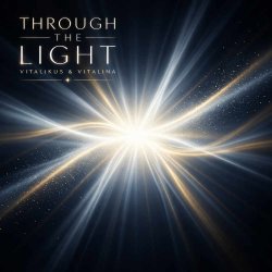 封面 ViTaLiKuS - Through the Light