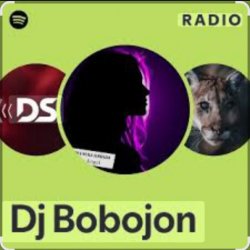 封面 Dj Bobojon - My Sweet Melody