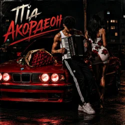 Обкладинка ZVUCAR & Kamelii Merlina - Під Акордеон
