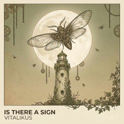 封面 ViTaLiKuS - Is There a Sign