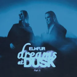 Обкладинка Eli & Fur - Tears