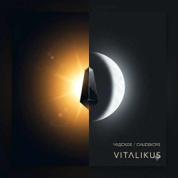 封面 ViTaLiKuS - Чудское (Chudskoye) (Original Chill Mix)