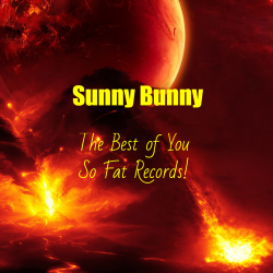 封面 The Best of You So Fat Records!