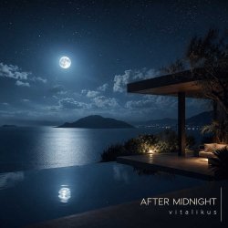封面 ViTaLiKuS - After Midnight
