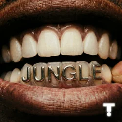 封面 TroyBoi & Shiwa - Jungle